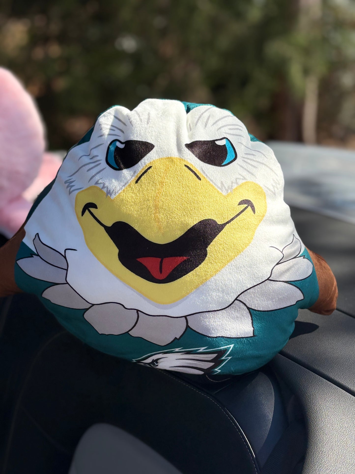 Philadelphia Eagles Pillow Headrest